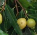 DSC02816.JPG