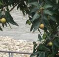 DSC05018.JPG