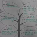 常保持感恩的心