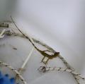 DSC05940