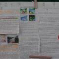 DSC00442.JPG