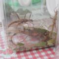 DSCN0461.JPG