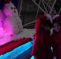 DSC00752.JPG