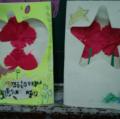 IMAG0036