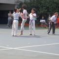 DSC01217