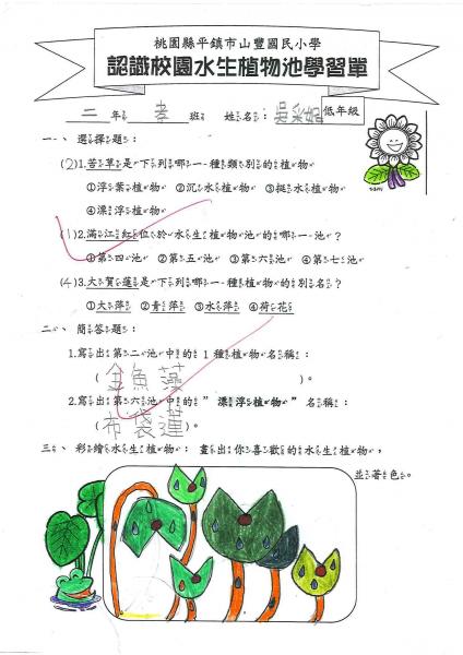 2-2孝吳采妮.jpg