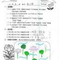 3-1忠黃心薇.jpg
