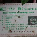 DSC04640.JPG