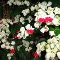 DSC04643.JPG