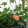 DSC04644.JPG