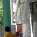 DSC04821.JPG