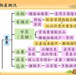 社會6上1-2物產概況-學習地圖