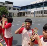 DSC07421.JPG