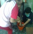 20120509342