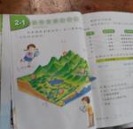 DSC00982.JPG