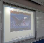 DSC07985.JPG