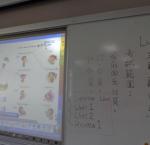 DSC08431.JPG