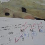 四孝100分