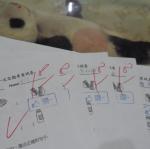 四愛100分
