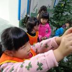 DSC00490.JPG