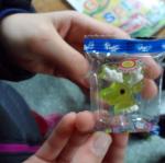 SAM_9924