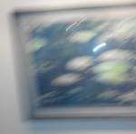 IMG_20141210_135611.jpg
