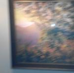 IMG_20141210_135124.jpg
