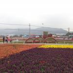 DSC05067.JPG