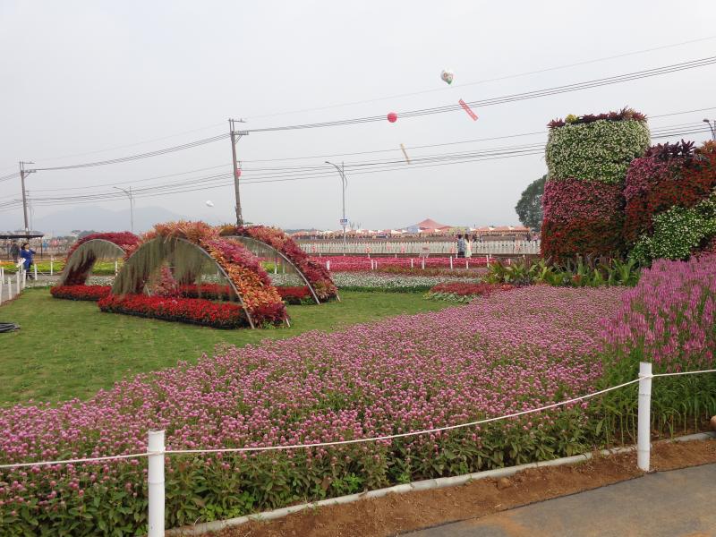 DSC05072.JPG
