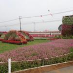 DSC05072.JPG