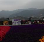 P_20141203_161731.jpg