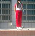 20120529384