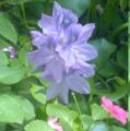 20111007085