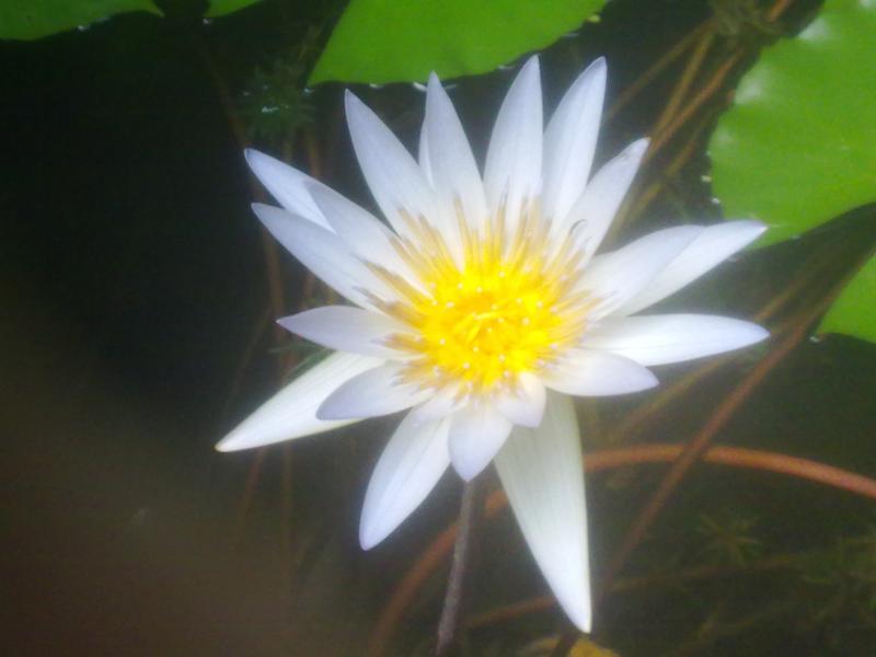 20111013095