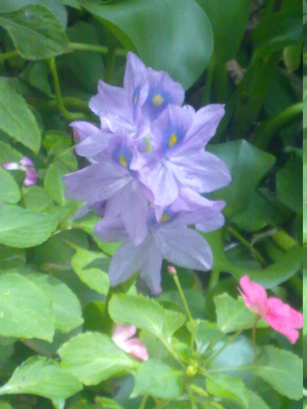 20111007085