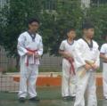 20120531390