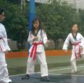 20120531393