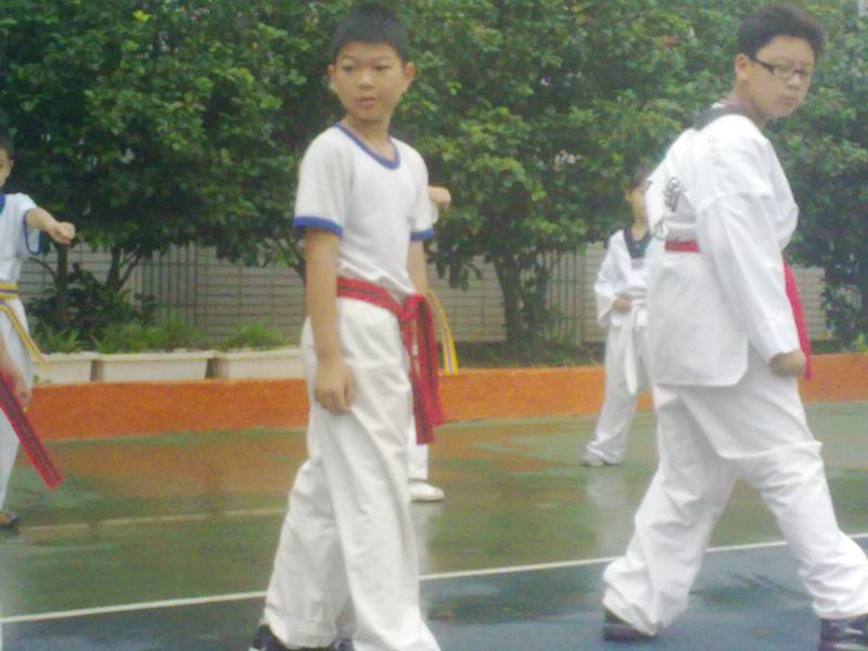 20120531394