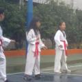 20120531395