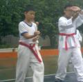 20120531396