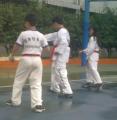 20120531397