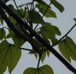 DSC03820.JPG