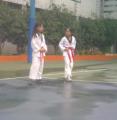 20120531398