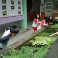 IMAG0082