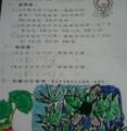 IMAG0092