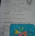 IMAG0094