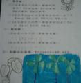 IMAG0096