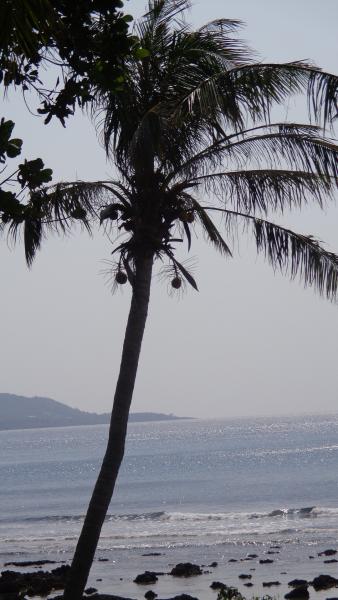 DSC02079.JPG