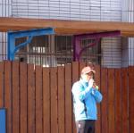 DSC05934
