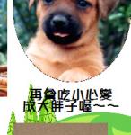 s05-4505-個人書籤-4505柏維.JPG